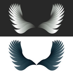 Angel wings black and white fantasy decoration design element