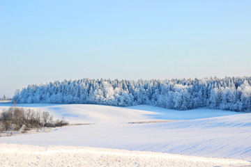 Fototapeta na wymiar Winter. Beautiful winter landscape with snow covered trees