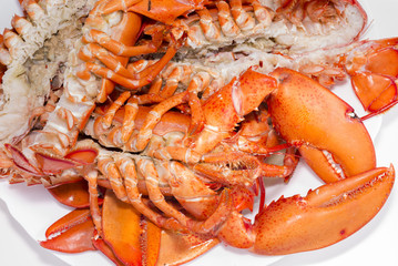 Lobster.