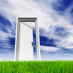 Conceptual white door in grass with sky background