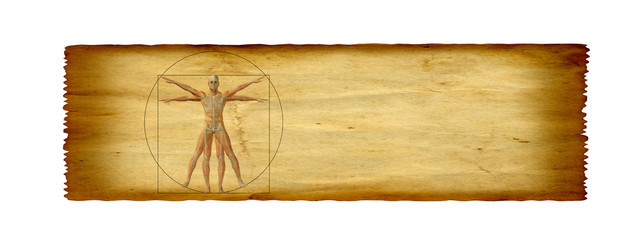 Conceptual vitruvian human body drawing on old paper background