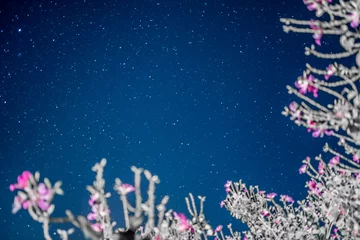 Photo sur Aluminium Nuit blue night starry sky