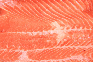 salmon fish meat texture