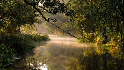 Rzeka Supraśl © podlaski49