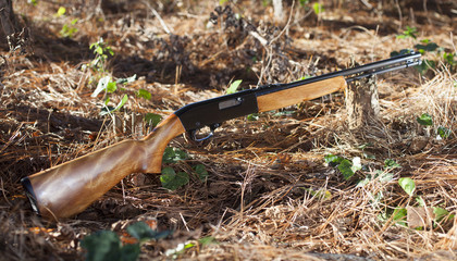 Rimfire Rifle