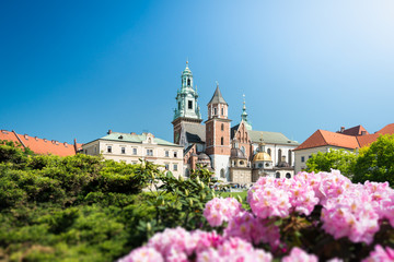 View to Wawel Cathedral in Krakow, Poland.