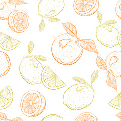 vector drawing pattern of citrus orange and lemon