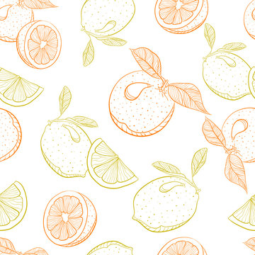 vector drawing pattern of citrus orange and lemon