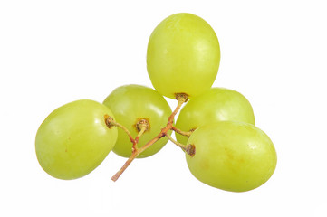 selective focus of bunch green grapes isolated on white