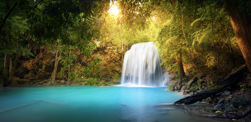 Exotic background of beautiful jungle forest with majestic water