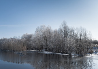 Naklejka na ściany i meble Winter lake landscape with frozen trees and bushes. Scenic seasonal background