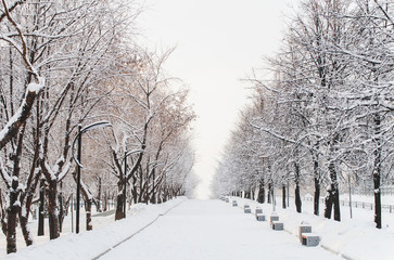 the winter alley 