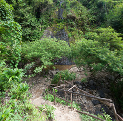 Nature trail road in jungle forest of Laos