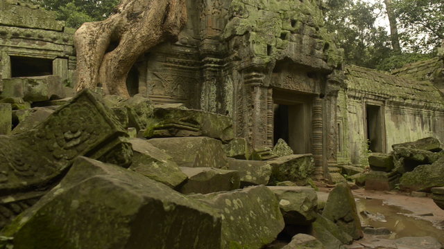 Ta prohm temple Unesco world heritage site  dolly  
