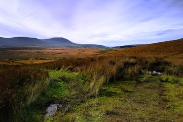 Track to Ingleborough