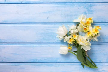 Washable wall murals Narcissus Background with  white and yellow flowers on blue  painted woode