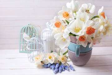 Fresh spring daffodils,  white tulips flowers, muscaries flowers