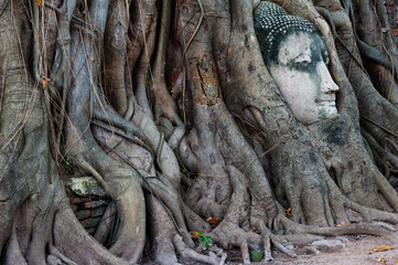 Famous Thailand landmark of buddha head in tree roots