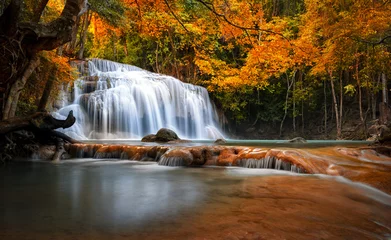 Photo sur Plexiglas Automne Orange autumn leaves on trees in forest and mountain river flows through stones and waterfall cascades