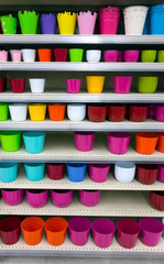 Flower pots on shelves
