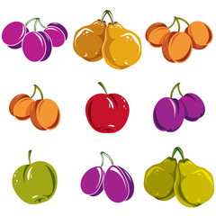 Set of colorful different vector ripe sweet fruits. Apricots, pl