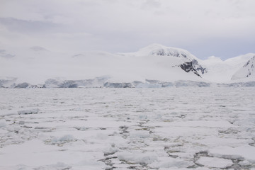 Field of pack ice, Antarctica © karenfoleyphoto