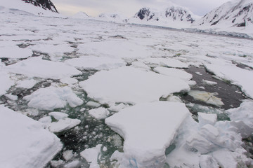 Field of floating ice, Antarctica © karenfoleyphoto