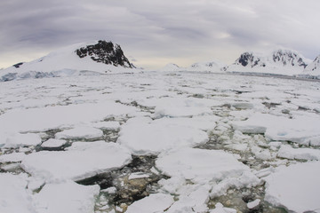 Horizon of pack ice along coastline of Antarctic Peninsula © karenfoleyphoto
