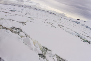 Pack ice on Antarctic Peninsula © karenfoleyphoto