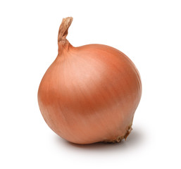 Ripe onion