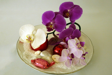 Fototapeta na wymiar panaché d'orchidées