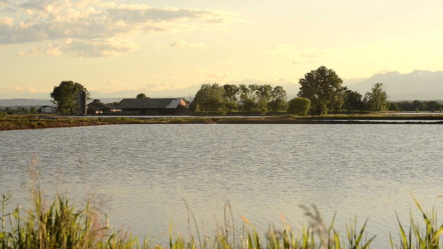 Italian rice fields with farm on background in vercelli