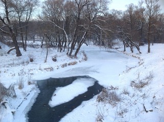 утки на зимней реке