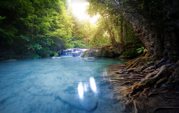 Clean water river stream flows through lush forest. Beautiful sunlight peaceful environment