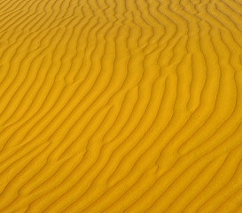 Rippled sand in desert texture background