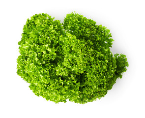 Obraz premium Kale salad