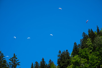 Gleitschirmflieger Nähe Branderalm (Oberbayern)