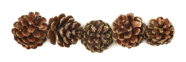 Decorational pine cones isolated