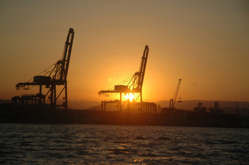Fototapeta na wymiar Container Crane Port of Santos - Brazil