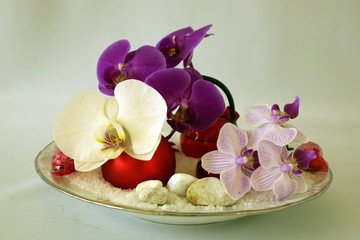 valse d'orchidées