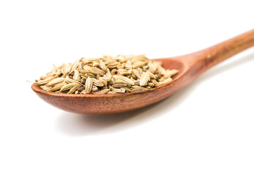 fennel seeds