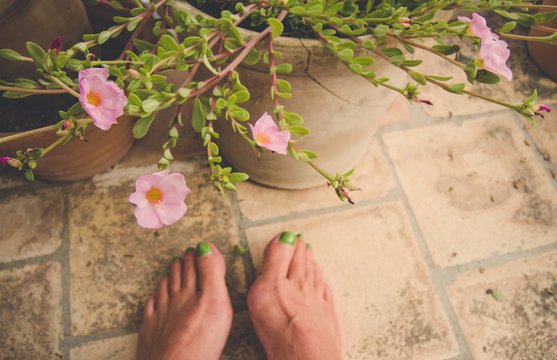 Selfie von nackten Füßen vor blühender Pflanze auf Terracotta Fliesen im Retro Stil 