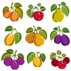 Collection of 3d simple fruits vector icons with green leaves