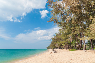 tropical beach in Thailand