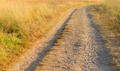 Sandy road on the field, close up