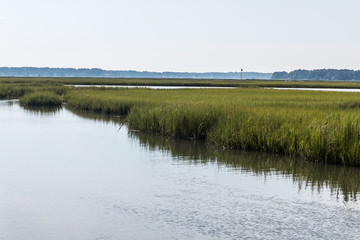 Marshland at Pleasure House Point natural area which is south of the Chesapeake Bay in Virginia...