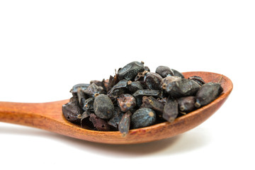 Dried barberry berries