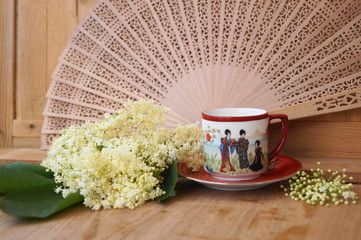  Medicinal plant - elderflower  