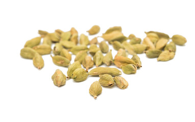 cardamom pods isolated