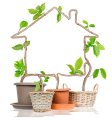 Plant House Concept